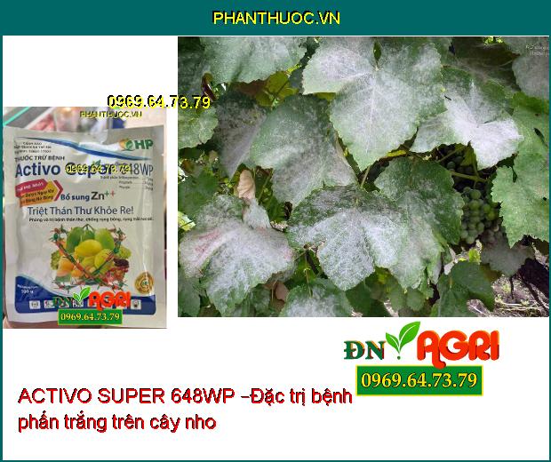 ACTIVO SUPER 648WP –ĐẶC TRỊ PHẤN TRẮNG, SƯƠNG MAI, CÁC LOẠI NẤM BỆNH