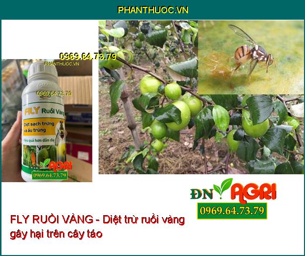 FLY RUỒI VÀNG –Xua Đuổi Côn Trùng, Ruồi Vàng, Các Loại Sâu Hại Cây Trồng