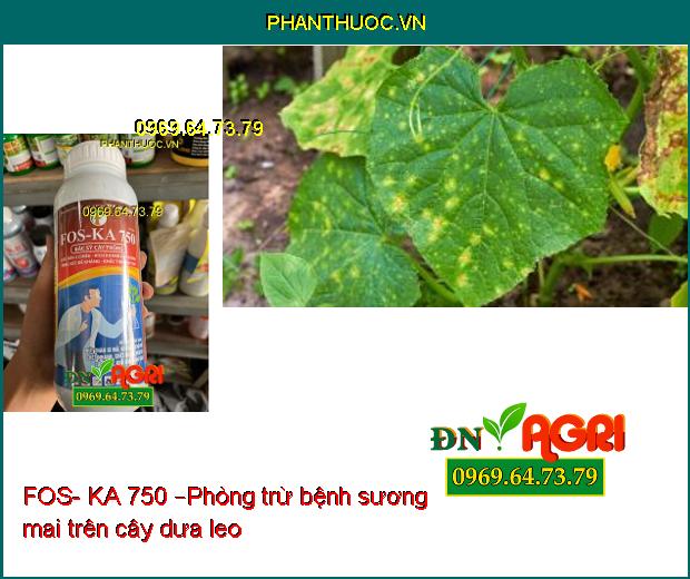 FOS- KA 750 –Phân Hóa Mầm Hoa, Ra RỄ Cực Mạnh, Diệt Trừ Nấm Bệnh