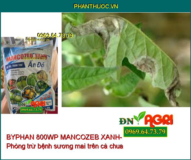 BYPHAN 800WP MANCOZEB XANH-ĐẶC TRỊ BỆNH SƯƠNG MAI, THỐI TRÁI, THÁN THƯ