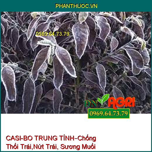 CASI-BO TRUNG TÍNH DẠNG HUYỀN PHÙ –Chống Thối Trái,Nứt Trái, Sương Muối