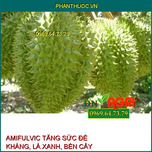 AMIFULVIC –TĂNG SỨC ĐỀ KHÁNG, TẠO BỘ LÁ XANH, BỀN CÂY