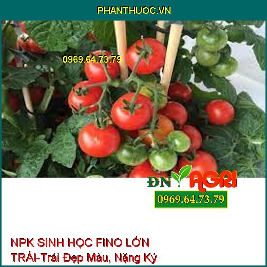 PHÂN BÓN LÁ HỖN HỢP NPK SINH HỌC FINO LỚN TRÁI-Lớn Trái Nhanh, Trái Đẹp Màu, Nặng Ký, Chống Ghẻ Trái