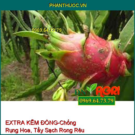 PHÂN BÓN VI LƯỢNG EXTRA KẼM ĐỒNG-Chống Rụng Hoa, Trái Non, Tẩy Sạch Rong Rêu