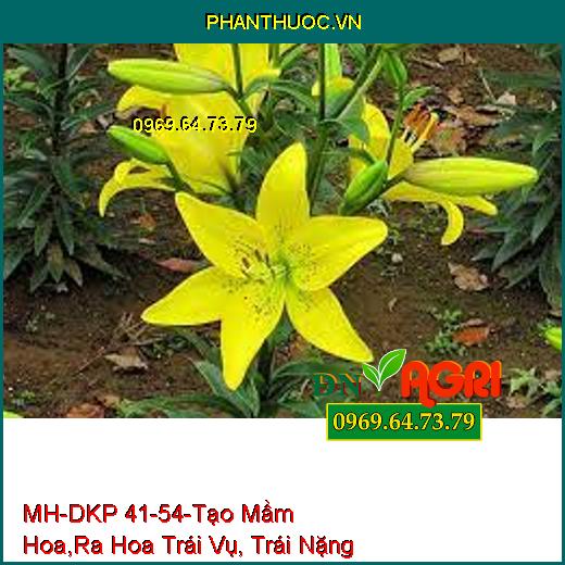 MH-DKP 41-54-Tạo Mầm Hoa, Ra Hoa Trái Vụ, Trái Nặng Ký , Mã Đẹp