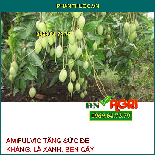 AMIFULVIC –TĂNG SỨC ĐỀ KHÁNG, TẠO BỘ LÁ XANH, BỀN CÂY