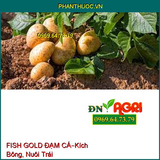 FISH GOLD ĐẠM CÁ–Kích Bông, Nuôi Trái, Cải Tạo Đất, Hạ Phèn, Ra Rễ, Bung Đọt Non