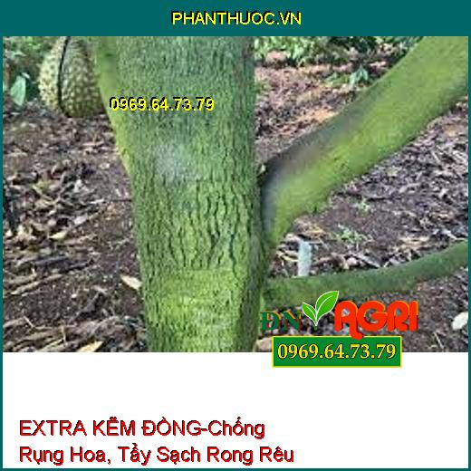 PHÂN BÓN VI LƯỢNG EXTRA KẼM ĐỒNG-Chống Rụng Hoa, Trái Non, Tẩy Sạch Rong Rêu