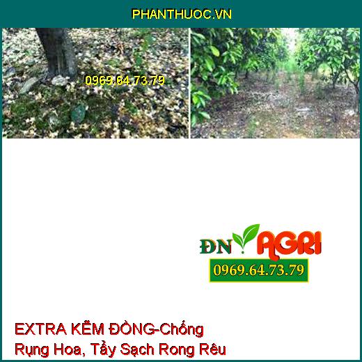 PHÂN BÓN VI LƯỢNG EXTRA KẼM ĐỒNG-Chống Rụng Hoa, Trái Non, Tẩy Sạch Rong Rêu