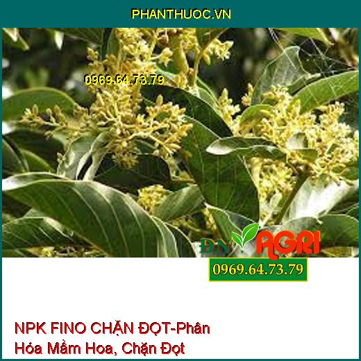 PHÂN BÓN LÁ NPK FINO CHẶN ĐỌT-Phân Hóa Mầm Hoa, Chặn Đọt, Nhanh Gìa Lá