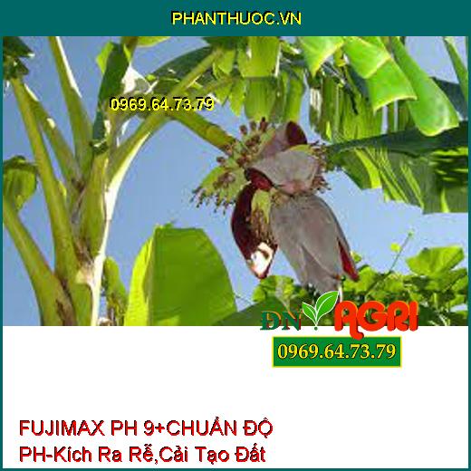 FUJIMAX PH 9+ CHUẨN ĐỘ pH-Kích Ra Rễ , Cải Tạo Đất, Ngăn Ngừa Nấm Bệnh