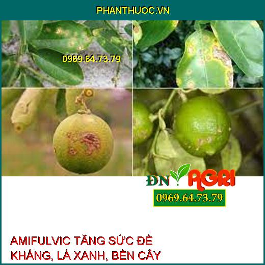 AMIFULVIC –TĂNG SỨC ĐỀ KHÁNG, TẠO BỘ LÁ XANH, BỀN CÂY