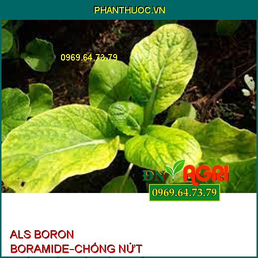 PHÂN BÓN ALS BORON BORAMIDE–CHỐNG NỨT TRÁI THỐI TRÁI, VÀNG LÁ, RỤNG HOA TRÁI NON