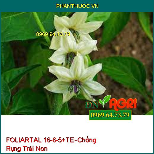 PHÂN BÓN FOLIARTAL 16-6-5+TE–Chống Rụng Trái Non, Bung Hoa Đồng Loạt, Trái To