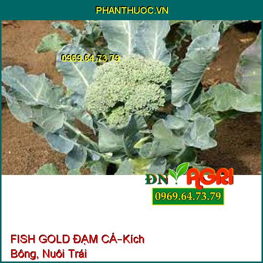 FISH GOLD ĐẠM CÁ–Kích Bông, Nuôi Trái, Cải Tạo Đất, Hạ Phèn, Ra Rễ, Bung Đọt Non