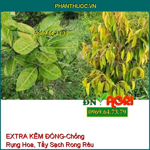 PHÂN BÓN VI LƯỢNG EXTRA KẼM ĐỒNG-Chống Rụng Hoa, Trái Non, Tẩy Sạch Rong Rêu