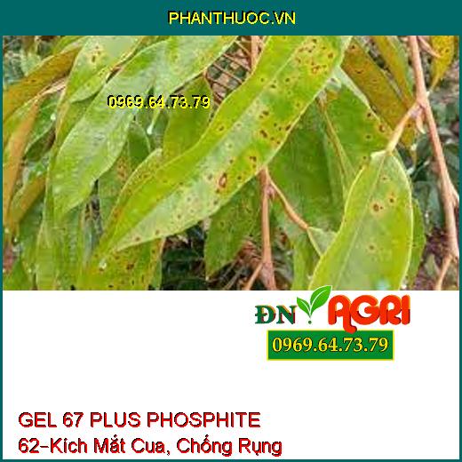 GEL 67 PLUS PHOSPHITE 62 –Tạo Mầm, Kích Mắt Cua, Chống Rụng