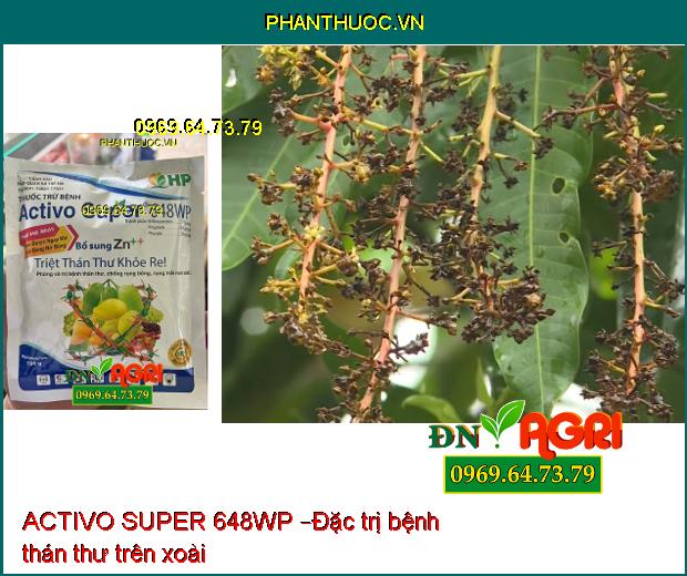 ACTIVO SUPER 648WP –ĐẶC TRỊ PHẤN TRẮNG, SƯƠNG MAI, CÁC LOẠI NẤM BỆNH