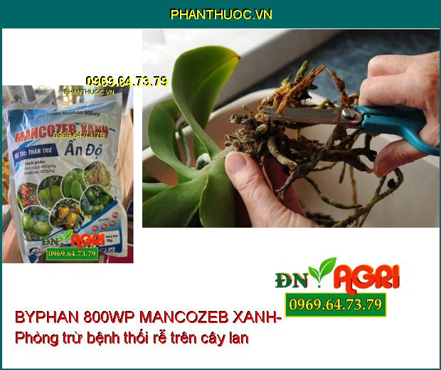 BYPHAN 800WP MANCOZEB XANH-ĐẶC TRỊ BỆNH SƯƠNG MAI, THỐI TRÁI, THÁN THƯ