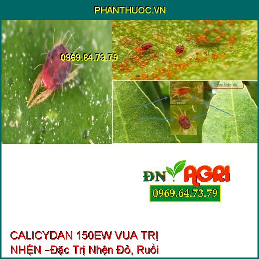 THUỐC TRỪ SÂU CALICYDAN 150EW VUA TRỊ NHỆN –Đặc Trị Sâu Chích Hút, Nhện Đỏ, Ruồi Vàng, Bọ Trĩ