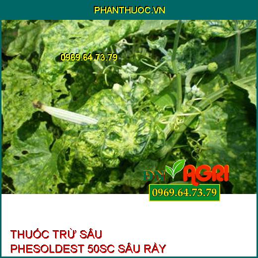 THUỐC TRỪ SÂU PHESOLDEST 50SC SÂU RẦY HI-TECH 5.0 – Đặc Trị Rầy Lưng Trắng, Rầy Xanh