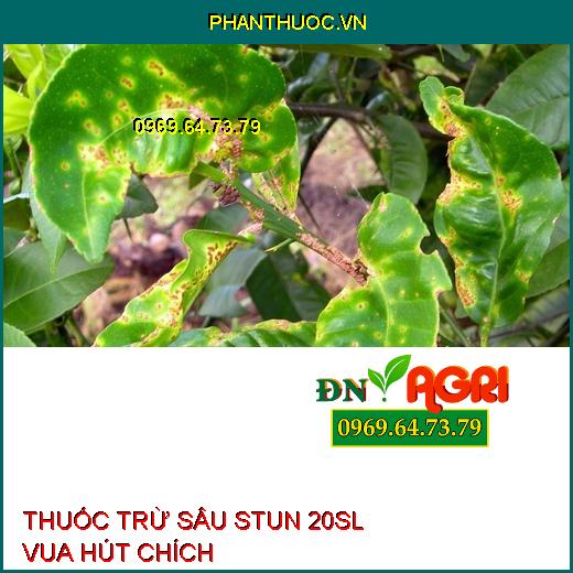 THUỐC TRỪ SÂU STUN 20SL VUA HÚT CHÍCH – Đặc Trị Rầy Mềm, Muỗi Hành, Ruồi Vàng, Bọ Trĩ, Các Côn Trùng Hút Chích