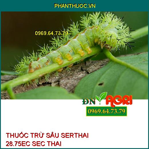 THUỐC TRỪ SÂU SERTHAI 28.75EC SEC THAI – Đặc Trị Rệp Sáp, Tuyến Trùng, Mọt Đục Cành, Đục Quả