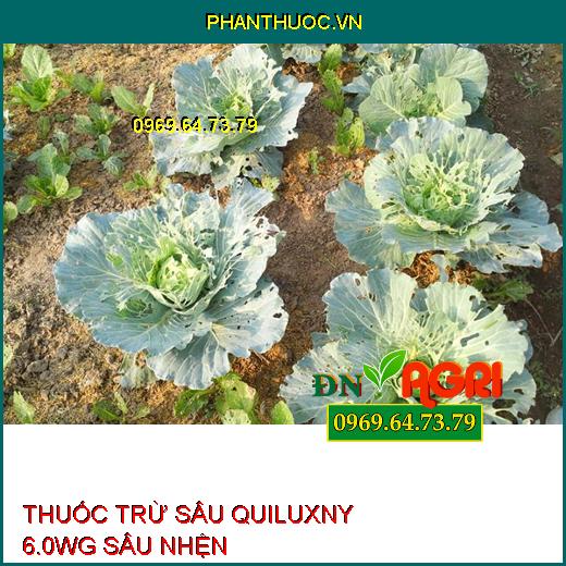 THUỐC TRỪ SÂU QUILUXNY 6.0WG SÂU NHỆN – Đặc Trị Sâu Tơ, Sâu Xanh Da Láng, Sâu Cuốn Lá