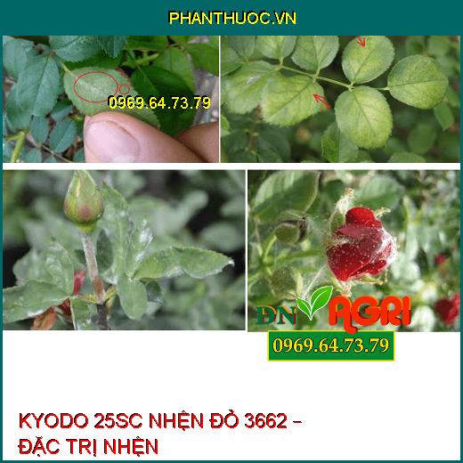 KYODO 25SC NHỆN ĐỎ 3662 – ĐẶC TRỊ NHỆN