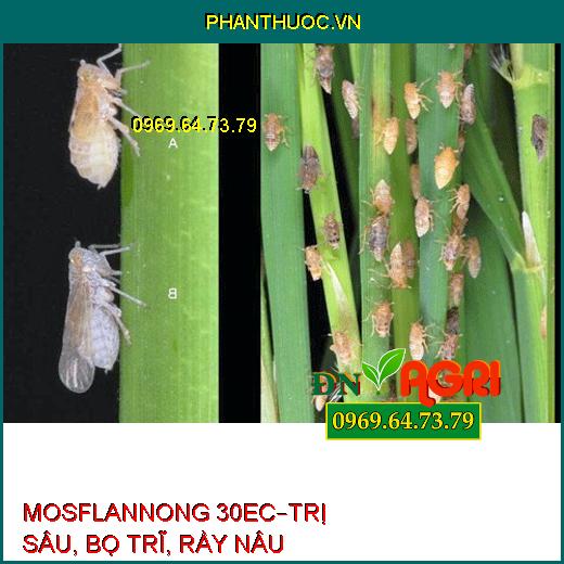 MOSFLANNONG 30EC – ĐẶC TRỊ BỌ TRĨ, SÂU CUỐN LÁ, RẦY NÂU HẠI LÚA