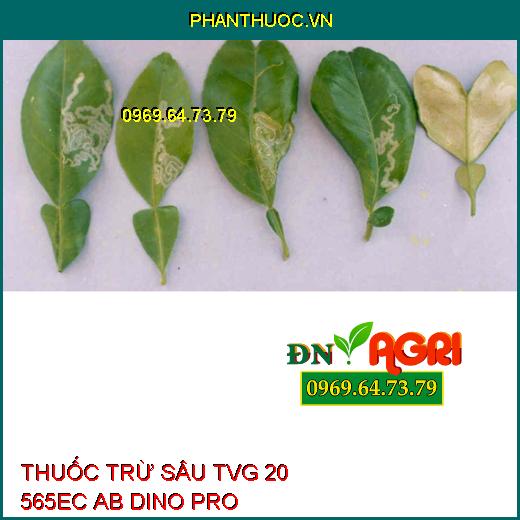 THUỐC TRỪ SÂU TVG 20 565EC AB DINO PRO- Đặc Trị Rệp Sáp, Phòng Trừ Sâu Ruồi Rầy