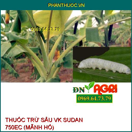 THUỐC TRỪ SÂU VK SUDAN 750EC (MÃNH HỔ) – Đặc Trị Sâu Cuốn Lá, Nhện Gié, Rầy Nâu Hại Lúa, Sâu Xanh Da Láng Hại Đậu Tương