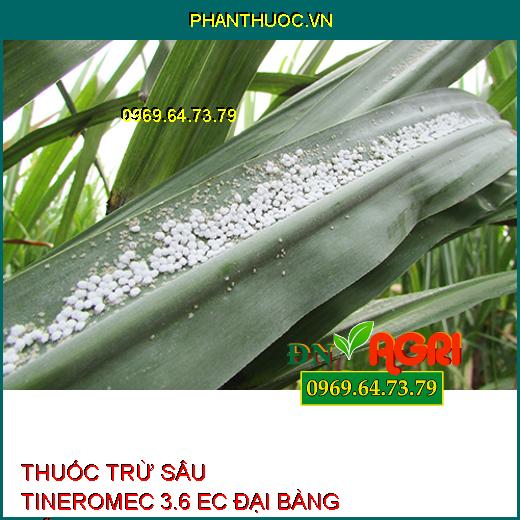 THUỐC TRỪ SÂU TINEROMEC 3.6 EC ĐẠI BÀNG MỸ – Sâu Cuốn Lá, Sâu Đục Thân, Sâu Đo, Bọ Trĩ