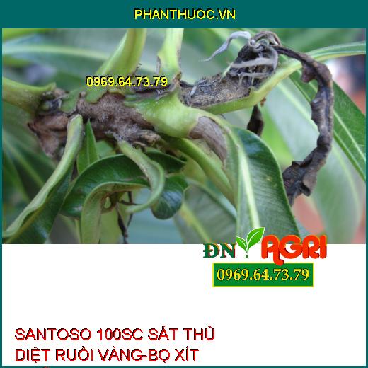 THUỐC TRỪ SÂU  SANTOSO 100SC SÁT THỦ DIỆT RUỒI VÀNG – BỌ XÍT MUỖI 100SC – Đặc Trị Muỗi, Kiến, Ruồi, Làm Ung Trứng, Xua Đuổi Lâu Dài, Không Gây Nóng Bông