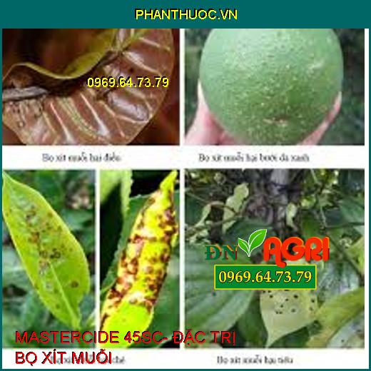 MASTERCIDE 45SC- ĐẶC TRỊ BỌ XÍT MUỖI, RỆP SÁP, RẦY NÂU HẠI CÂY TRỒNG