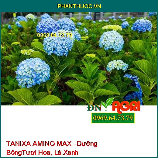 TANIXA AMINO MAX –Dưỡng Bông, Tươi Hoa, Chắc Củ, Lá Xanh Mướt, Đậu Trái