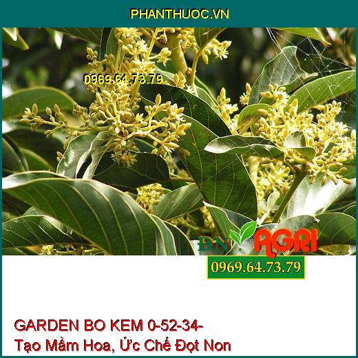 PHÂN BÓN VI LƯỢNG GARDEN BO KEM 0-52-34-Giúp Bộ Lá Gìa Đồng Loạt, Tạo Mầm Hoa, Ức Chế Đọt Non