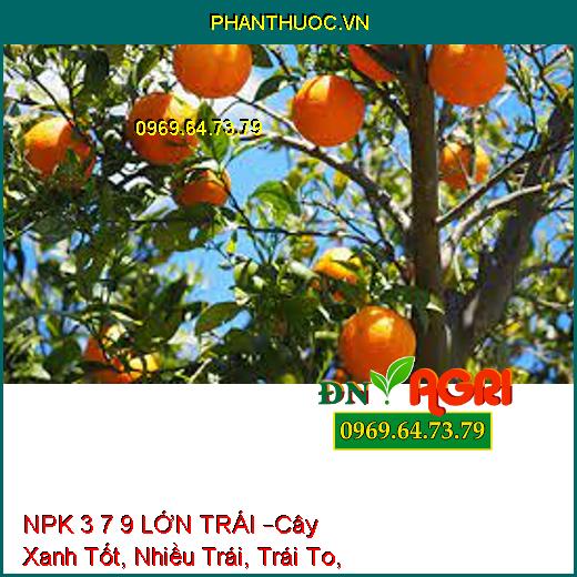 PHÂN BÓN NPK 3 7 9 LỚN TRÁI –Cây Xanh Tốt, Nuôi Nhiều Trái, Trái To, Nặng Ký