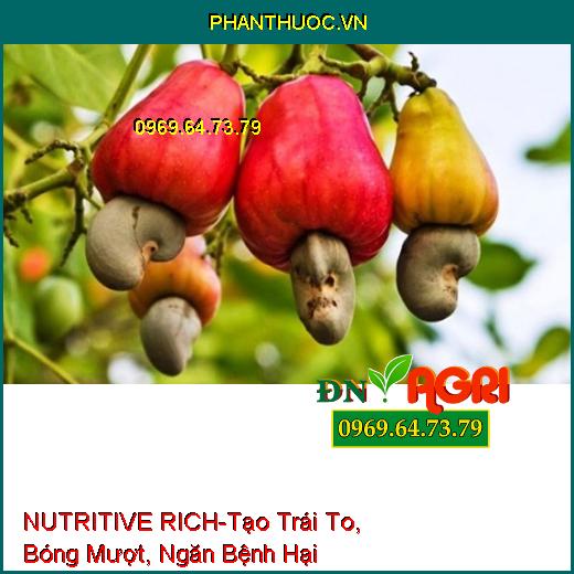 NUTRITIVE RICH –Rễ Cực Mạnh, Tạo Trái To, Bóng Mượt, Củ Suông Đều, Ngăn Bệnh Hại