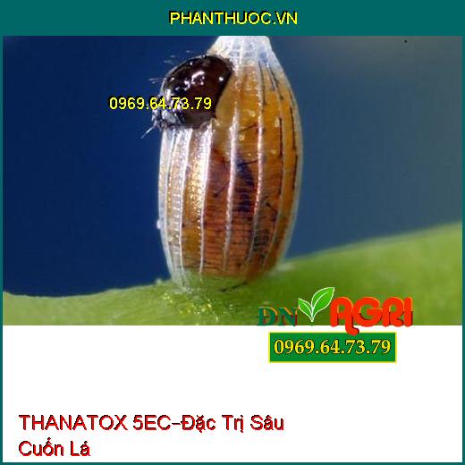 THUỐC TRỪ SÂU THANATOX 5EC – Đặc Trị Sâu Cuốn Lá Trên Lúa, Diệt Cả Trứng Và Ấu Trùng