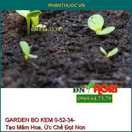 PHÂN BÓN VI LƯỢNG GARDEN BO KEM 0-52-34-Giúp Bộ Lá Gìa Đồng Loạt, Tạo Mầm Hoa, Ức Chế Đọt Non