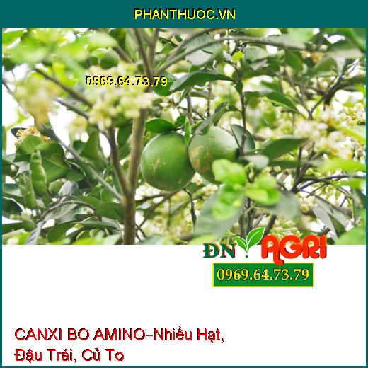 PHÂN BÓN VI LƯỢNG CANXI BO AMINO –Tạo Nhiều Hạt, Đậu Trái, Củ To Nhiều Tinh Bột