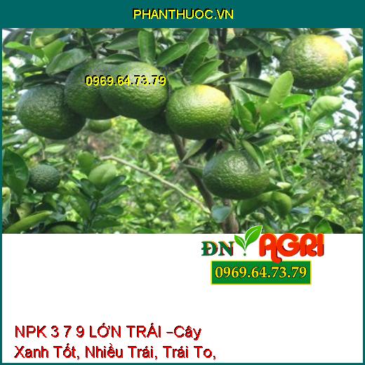 PHÂN BÓN NPK 3 7 9 LỚN TRÁI –Cây Xanh Tốt, Nuôi Nhiều Trái, Trái To, Nặng Ký