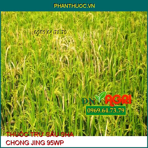 THUỐC TRỪ SÂU SHA CHONG JING 95WP- Đặc Trị Sâu Đục Thân, Rầy Xanh