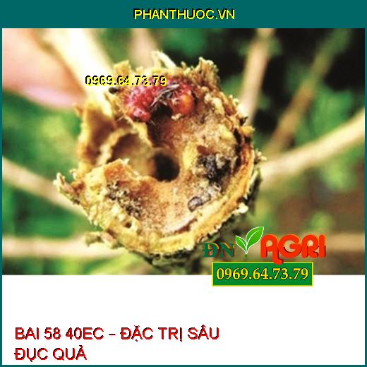 THUỐC TRỪ SÂU BAI 58 40EC – Đặc Trị Bọ Xít Hôi Trên Lúa, Sâu Đục Quả Trên Cà Phê