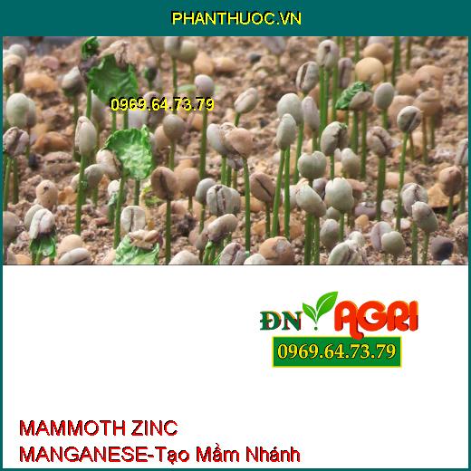 PHÂN BÓN MAMMOTH ZINC MANGANESE –Kích Rễ Phát Triễn, Ra Hoa Sớm, Tạo Mầm Nhánh