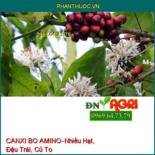 PHÂN BÓN VI LƯỢNG CANXI BO AMINO –Tạo Nhiều Hạt, Đậu Trái, Củ To Nhiều Tinh Bột