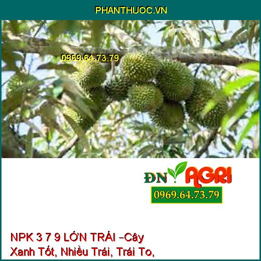 PHÂN BÓN NPK 3 7 9 LỚN TRÁI –Cây Xanh Tốt, Nuôi Nhiều Trái, Trái To, Nặng Ký