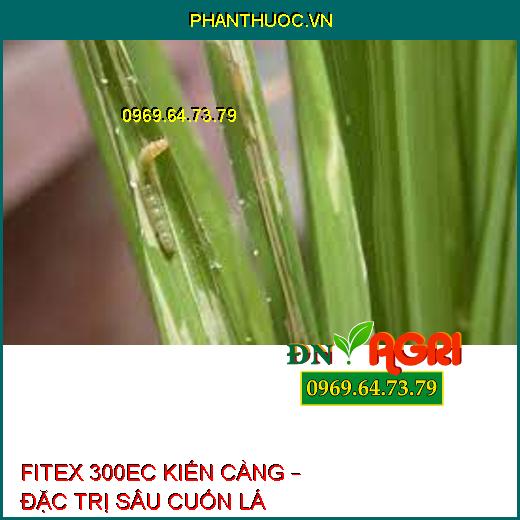 FITEX 300EC KIẾN CÀNG – ĐẶC TRỊ RỆP SÁP TRÊN CÀ PHÊ, RỆP MUỘI, SÂU CUỐN LÁ