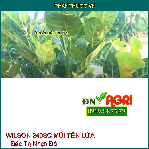 THUỐC TRỪ SÂU WILSON 240SC MŨI TÊN LỬA – Đặc Trị Nhện Đỏ Trên Cây Có Múi